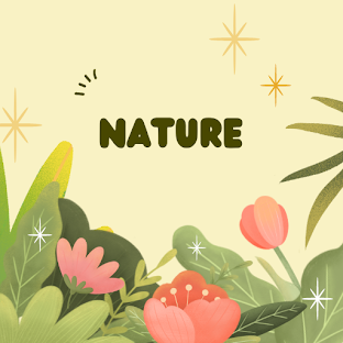 100 Calm Nature Wallpapers